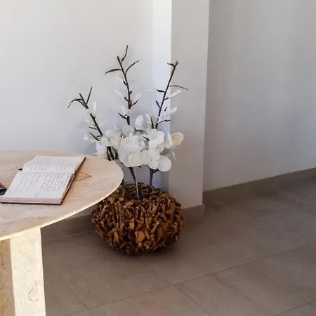 Apartament Alexia - Brisa - Puerto Pollensa.