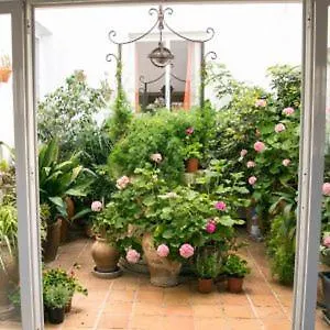 Alexia - Brisa - Puerto Pollensa. Apartament *