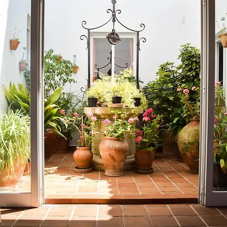 Alexia Brisa 2nd Floor Stairs 2br Pool View 9 Min To Sea 5min To Town At1833 Apartmán