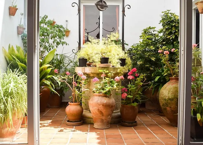 Alexia Brisa 2nd Floor Stairs 2br Pool View 9 Min To Sea 5min To Town At1833 Lägenhet